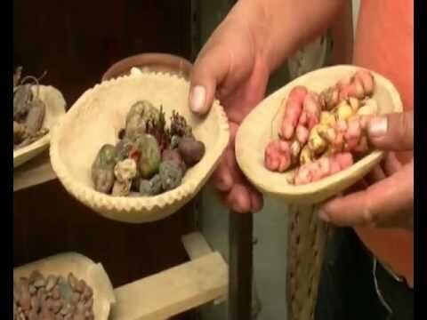 Explorando los museos de la Quebrada de Humahuaca