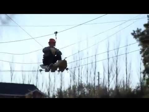 Explorando Tigre: Una Aventura Inolvidable