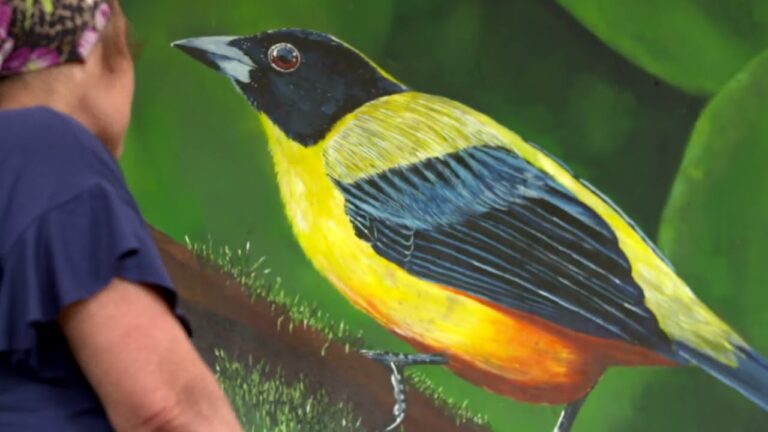 Aves de la regi&oacute;n andina argentina: diversidad y h&aacute;bitats