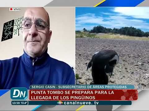 Explorando la biodiversidad de Punta Tombo