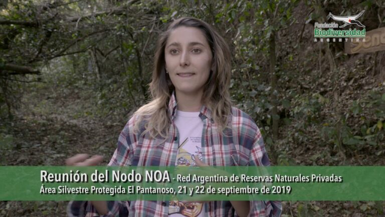 Explorando Reservas Naturales en Argentina