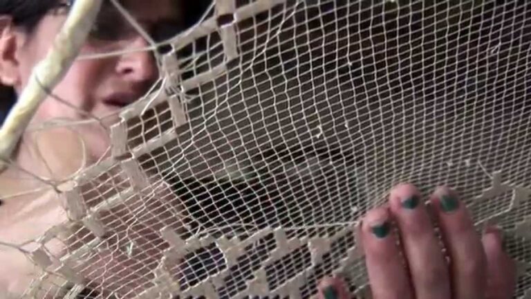 Artesan&iacute;as de Tucum&aacute;n: Tesoros Hechos a Mano