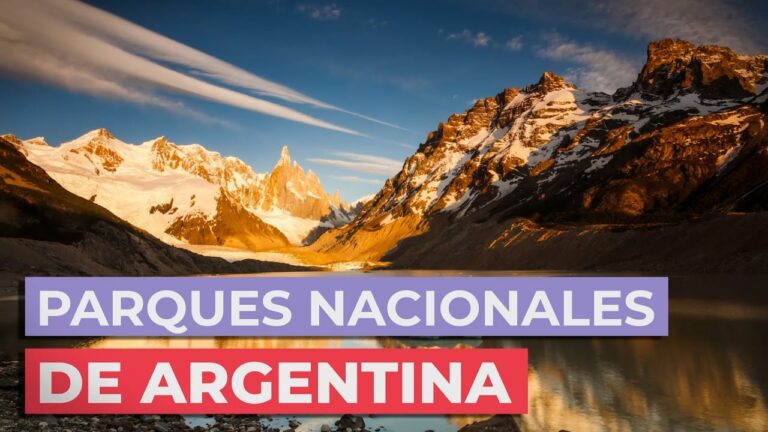 Descubre la biodiversidad argentina: los mejores destinos para explorar la fauna y flora