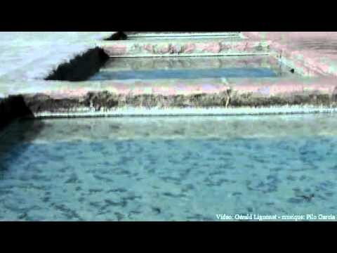 Turismo responsable en la Puna juje&ntilde;a: conservaci&oacute;n y sostenibilidad