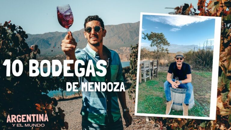 Explorando los Circuitos de Bodegas Argentinas