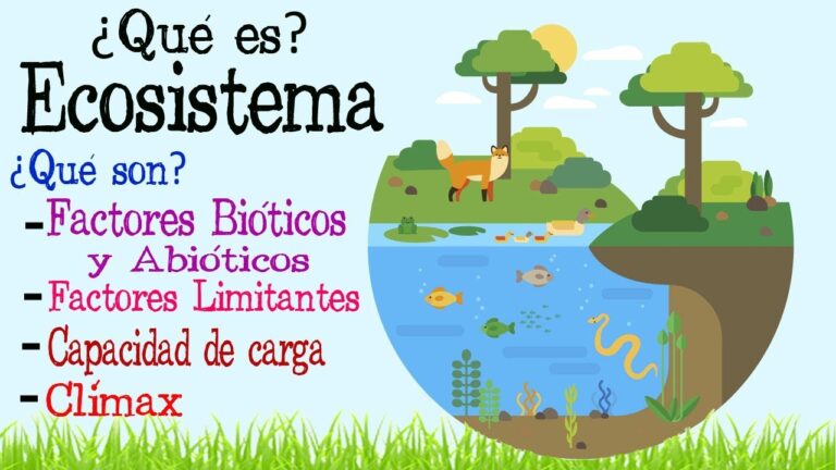Explorando la diversidad biol&oacute;gica de Punta Tombo