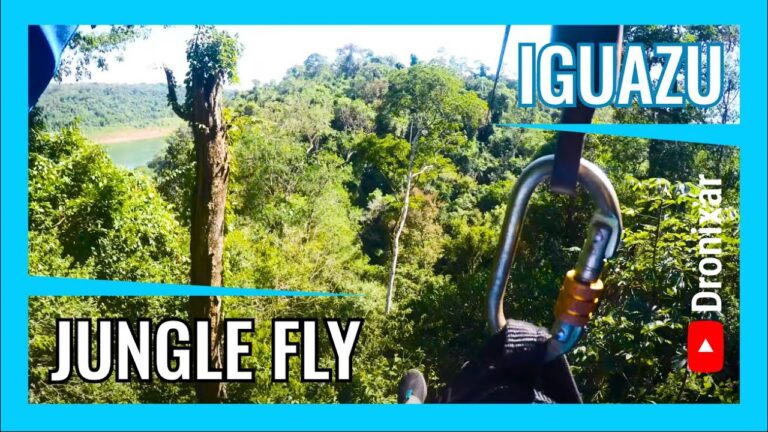 Explorando la selva de Puerto Iguaz&uacute;