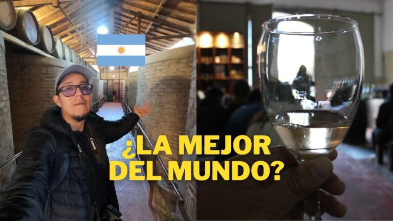 La rica tradici&oacute;n vin&iacute;cola de Mendoza