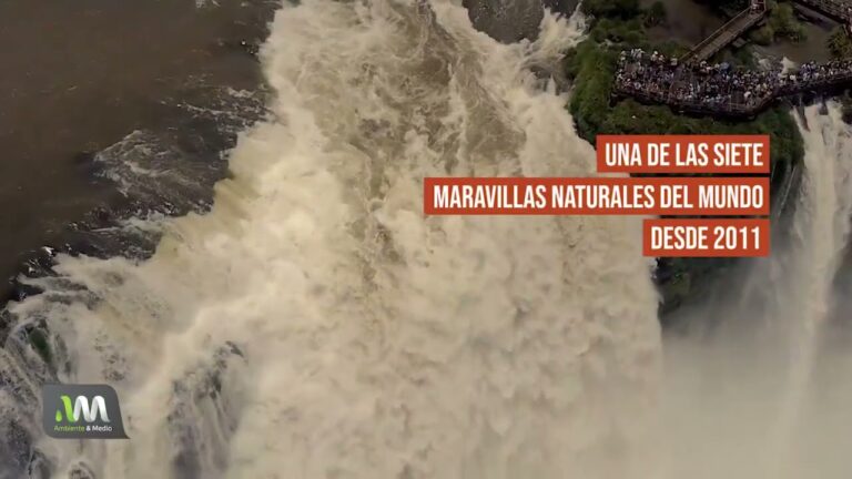 La diversidad de flora y fauna en el Parque Nacional Iguazú