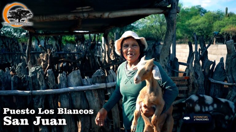 Tradiciones y folclore de San Juan