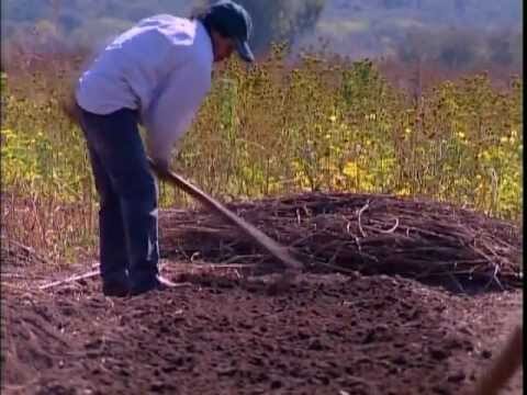 El arte indígena en Argentina: tradición y expresión cultural