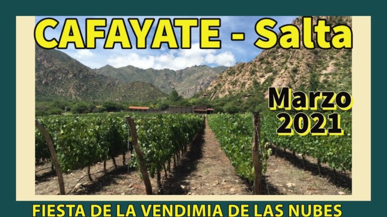 Fiesta de la Vendimia en Cafayate: Tradici&oacute;n y Vino