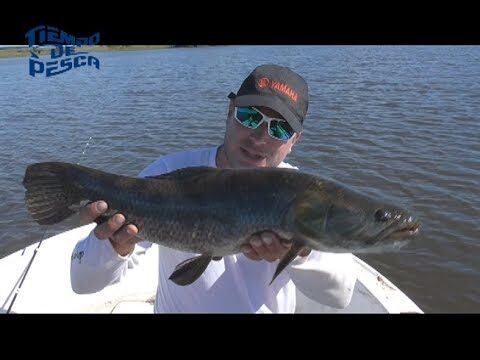 Gu&iacute;a de pesca en R&iacute;o Negro