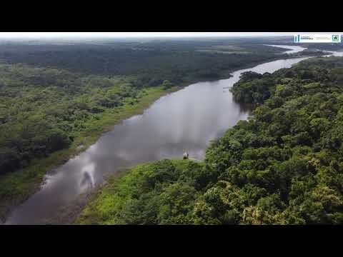 Tesoro natural: La riqueza de Tigre