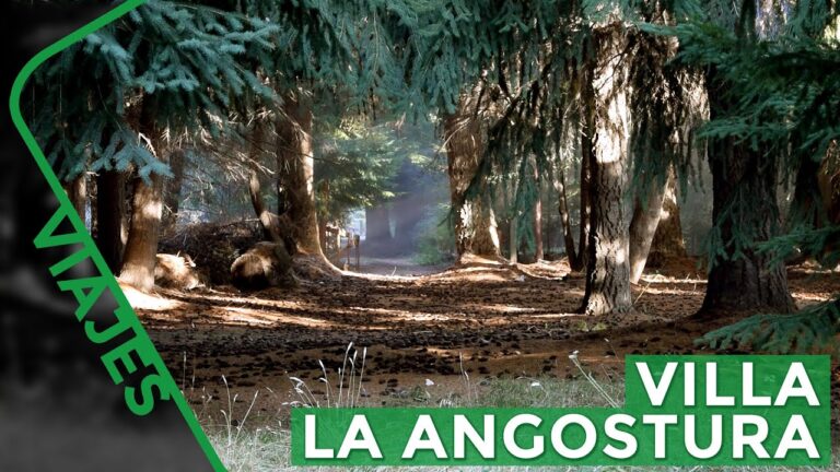 Explorando los impresionantes paisajes de monta&ntilde;a en Villa la Angostura