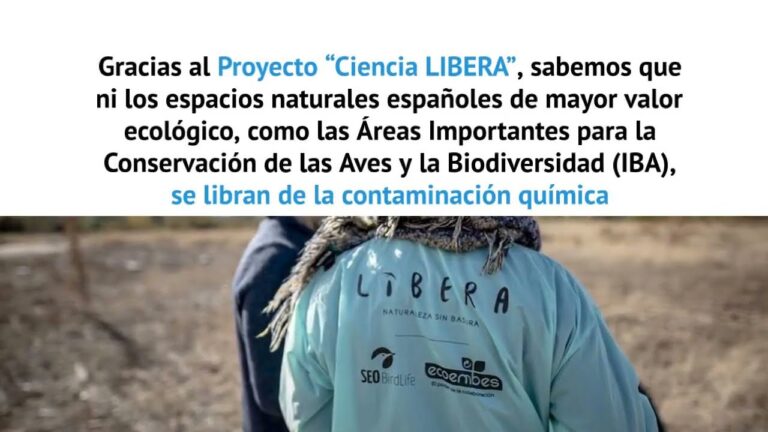 Interacci&oacute;n entre ecosistemas acu&aacute;ticos y aves en Argentina
