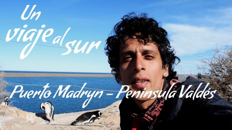 Explora la belleza marina de la Pen&iacute;nsula Vald&eacute;s en un paseo en barco