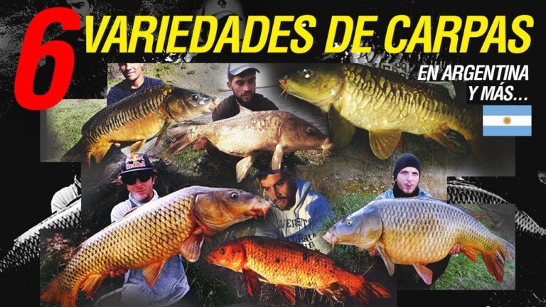 Principales especies de pesca deportiva en Argentina