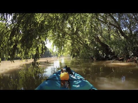 Explorando el Delta en Kayak
