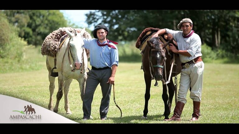 Caballos: Impulsores del turismo en Argentina