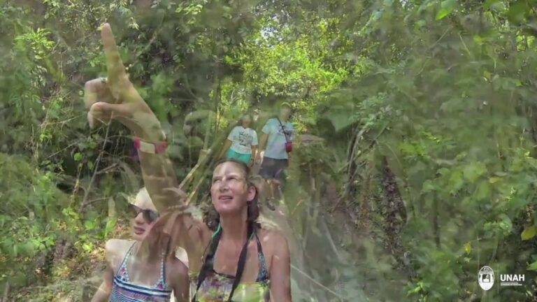 El impacto del turismo en el medio ambiente