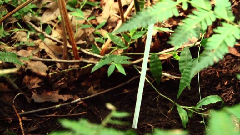 La riqueza de la biodiversidad en Argentina