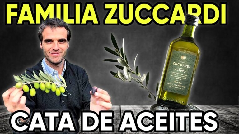 Explorando degustaciones de aceite de oliva virgen en Argentina