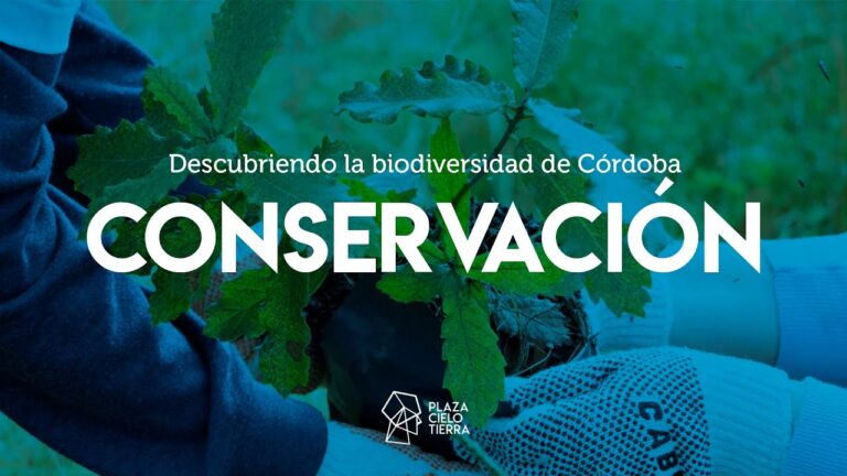 Explorando la diversidad natural