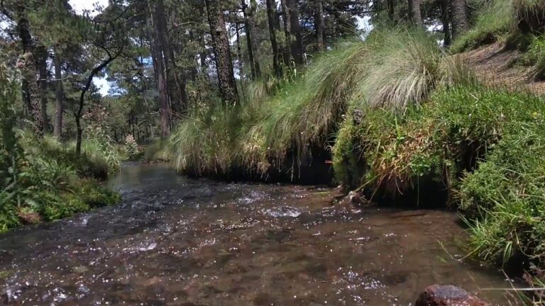 Explorando los ríos y arroyos del parque