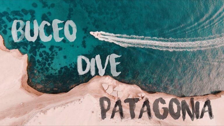 Explorando las aguas turquesas de Puerto Madryn: Buceo en la Patagonia