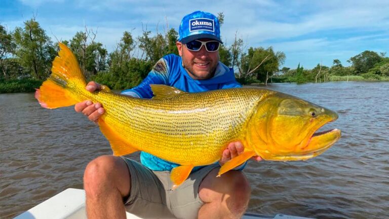 Pesca de dorados en Argentina: Gu&iacute;a completa para pescadores