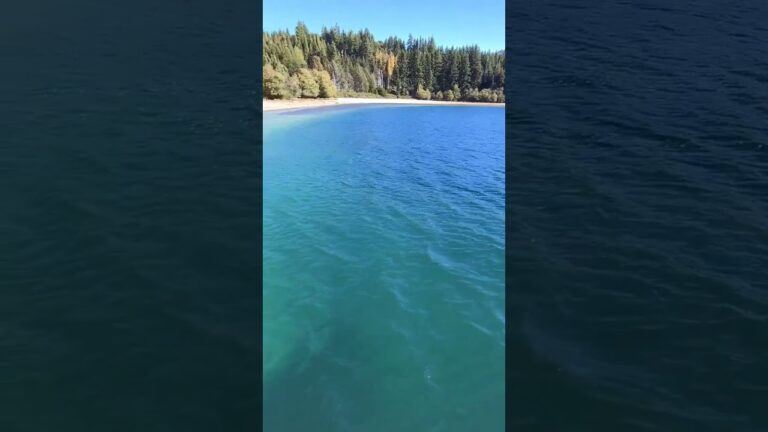 Explorando las playas del Lago Nahuel Huapi