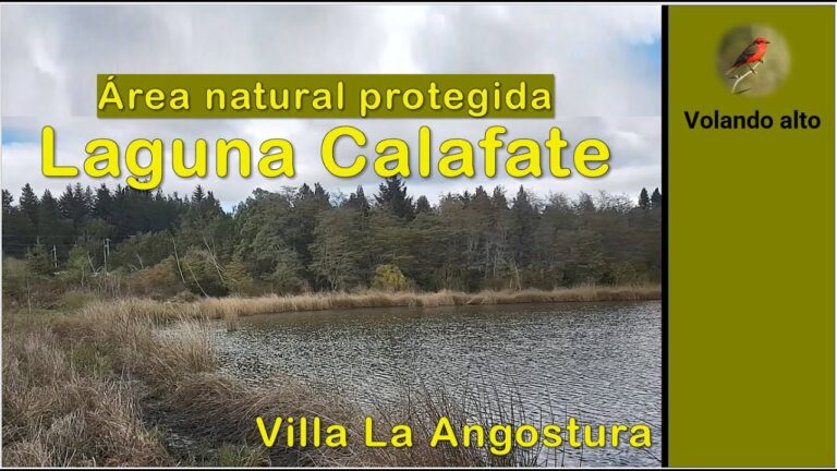 Maravillas naturales de Villa la Angostura