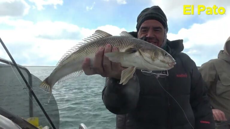 Gu&iacute;a de Pesca en Santa Cruz: Descubre los Mejores Lugares