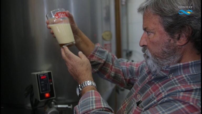 Cervezas regionales argentinas: una gu&iacute;a completa