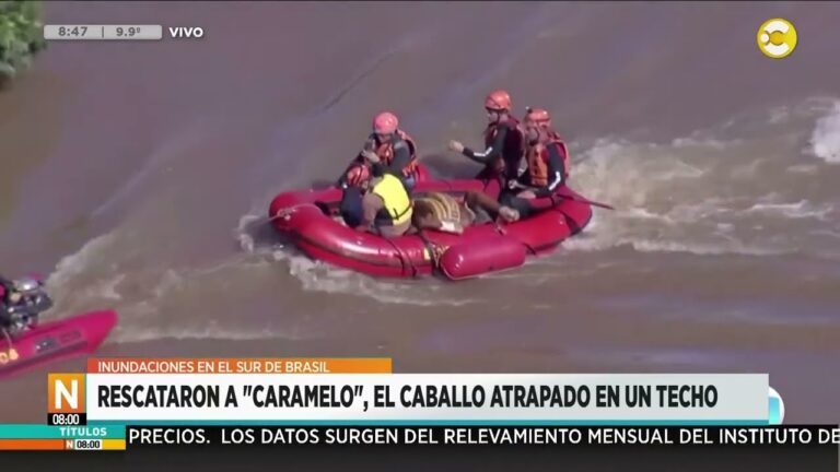 El impacto econ&oacute;mico de los caballos en Argentina