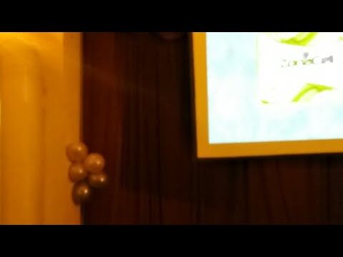 Avistamiento de aves en Bariloche: Una experiencia &uacute;nica en la Patagonia