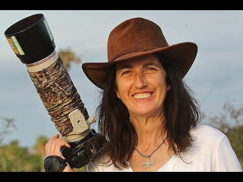 Capturando la belleza alada: Fotografía de aves en Argentina