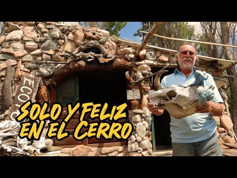 Ecoavistamiento de cóndores: una experiencia única en Argentina