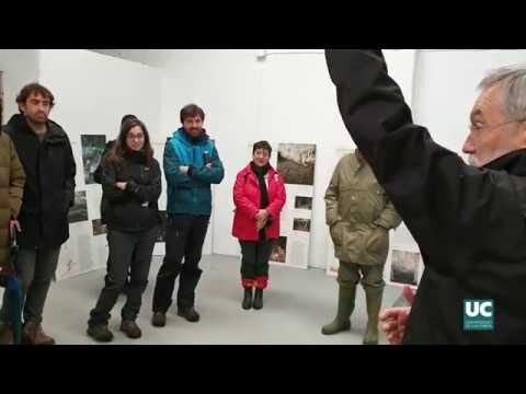 Catás guiadas por expertos: Descubre los secretos del vino