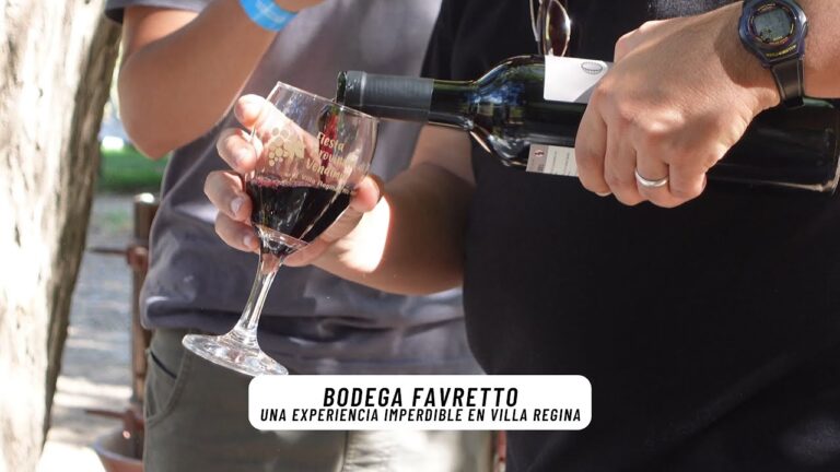 Explorando las catas de vino en R&iacute;o Negro