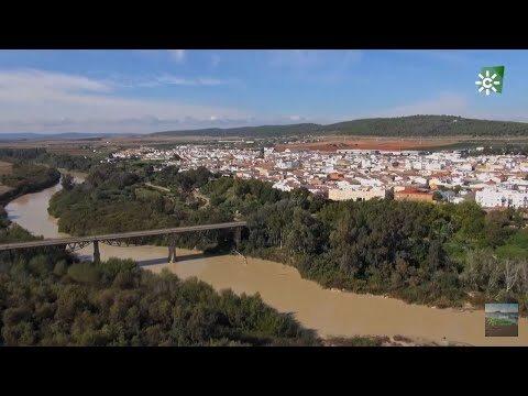 Exploradores de la historia de Córdoba