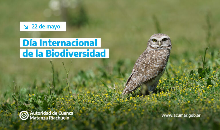 Conservación en Argentina: Estrategias para Proteger la Biodiversidad