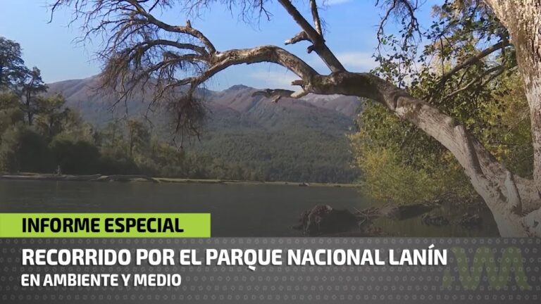 La biodiversidad del Parque Nacional Lanín