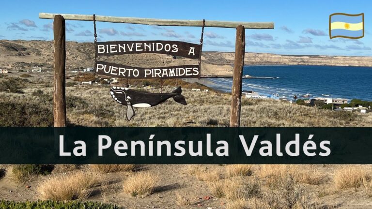 Explorando la Navegaci&oacute;n en la Pen&iacute;nsula Vald&eacute;s