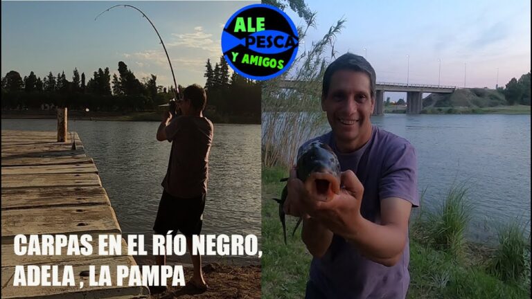 Pesca en La Pampa: Gu&iacute;a completa para los amantes de la pesca deportiva