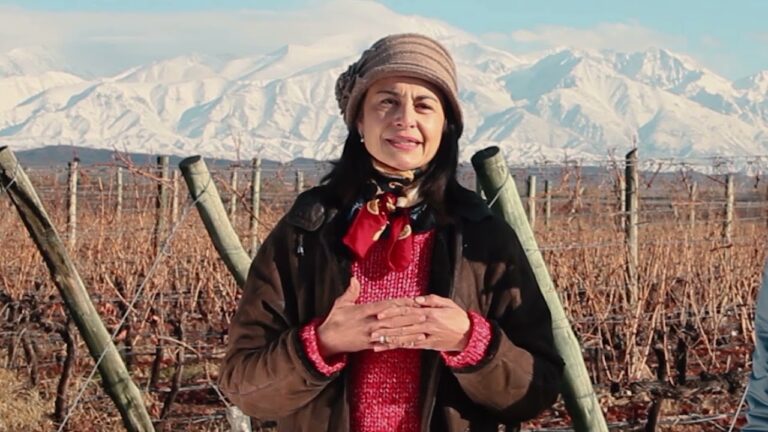 Explorando los Vinos de Altura de Mendoza
