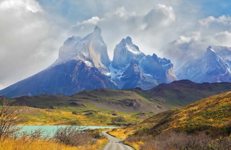 Flora aut&oacute;ctona de los Andes: Belleza natural en peligro