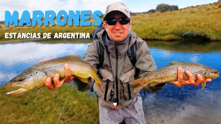 Pesca con mosca: Guía completa en Argentina