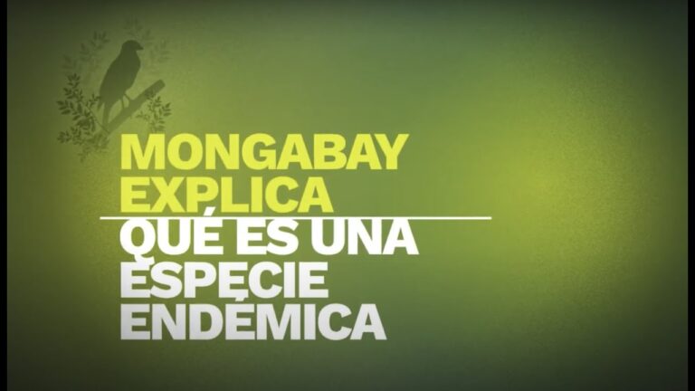 Fauna end&eacute;mica de Argentina: Especies &uacute;nicas en peligro
